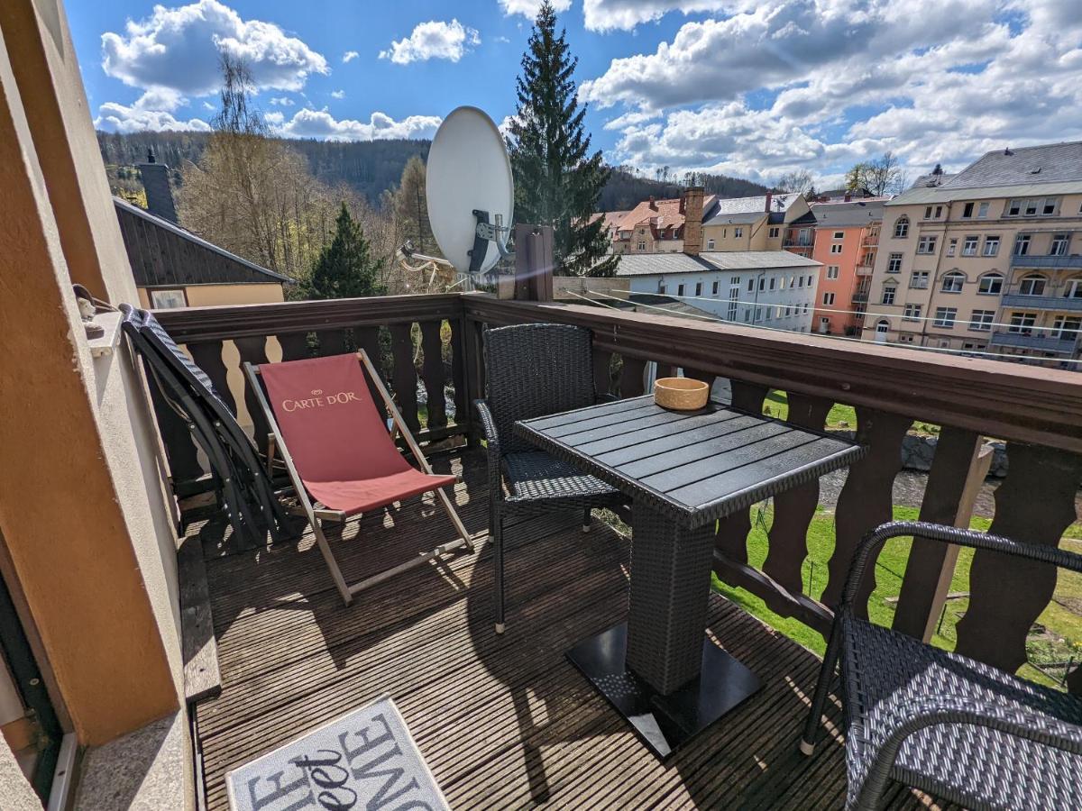 Ferienwohnung Urlaubstraum mit Pool, Terrasse&Fluss im Garten - UT Sebnitz Exterior foto