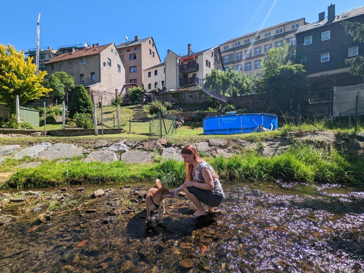 Ferienwohnung Urlaubstraum mit Pool, Terrasse&Fluss im Garten - UT Sebnitz Exterior foto