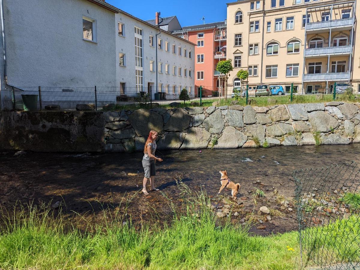 Ferienwohnung Urlaubstraum mit Pool, Terrasse&Fluss im Garten - UT Sebnitz Exterior foto