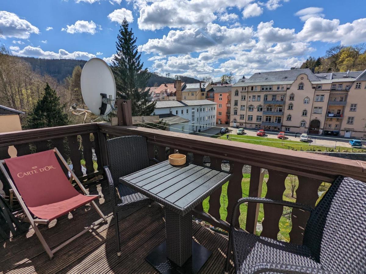 Ferienwohnung Urlaubstraum mit Pool, Terrasse&Fluss im Garten - UT Sebnitz Exterior foto