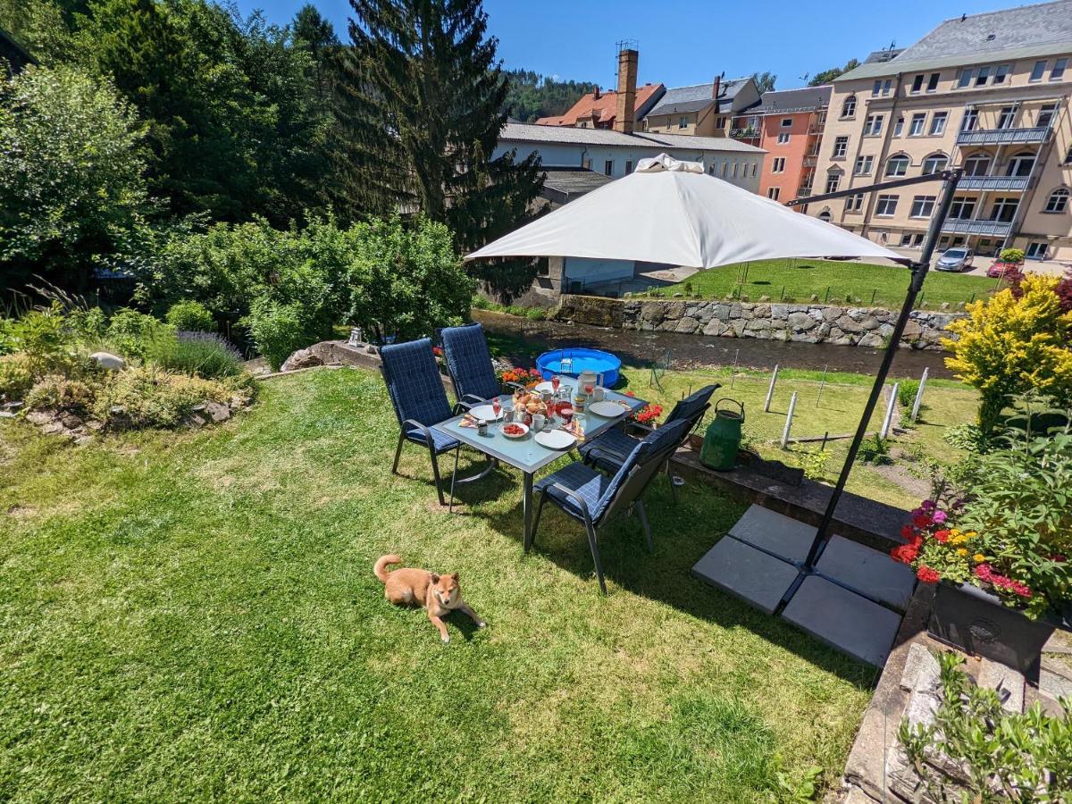 Ferienwohnung Urlaubstraum mit Pool, Terrasse&Fluss im Garten - UT Sebnitz Exterior foto