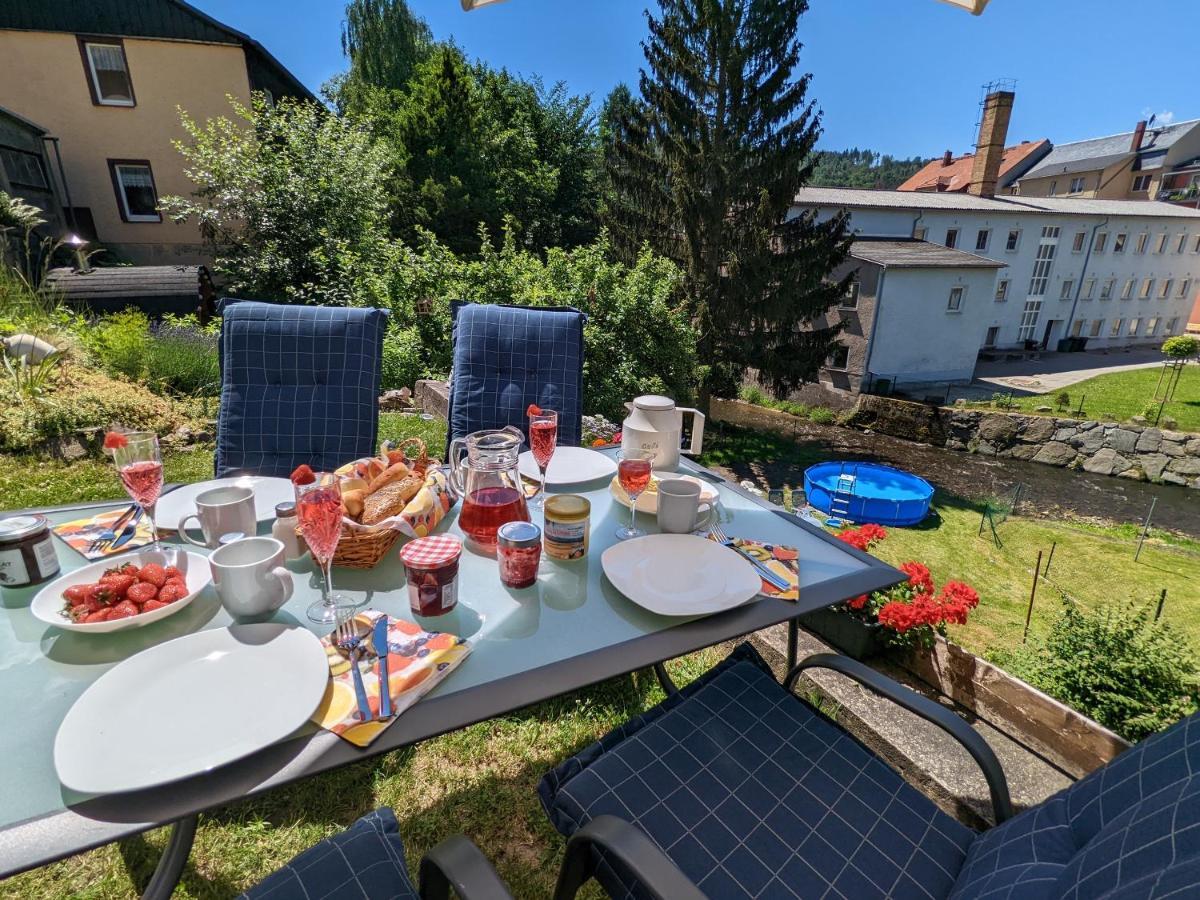 Ferienwohnung Urlaubstraum mit Pool, Terrasse&Fluss im Garten - UT Sebnitz Exterior foto
